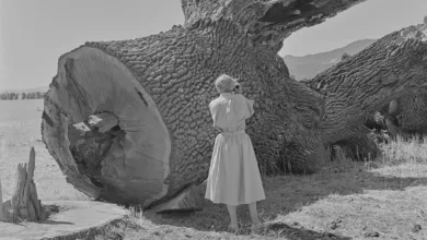 Dorothea Lange'ın Sular Altında Kalan Kasabayı Belgeleyen Fotoğrafları Gün Yüzüne Çıktı 6 Dorothea Lange Pirkle Jones Monticello