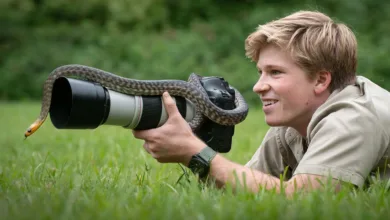 Robert Irwin: Yapay Zekâ Fotoğrafçılığın Sanatsal Ruhunu Zedeliyor 2 HeaderRobert