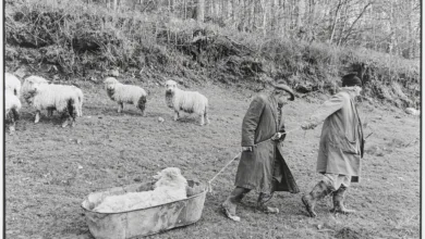 Belgesel Fotoğrafın Gücü: James Ravilious ve Chris Chapman'ın Güven Üzerine Kurulu Mirası 1 James Ravilious and Chris Chapman
