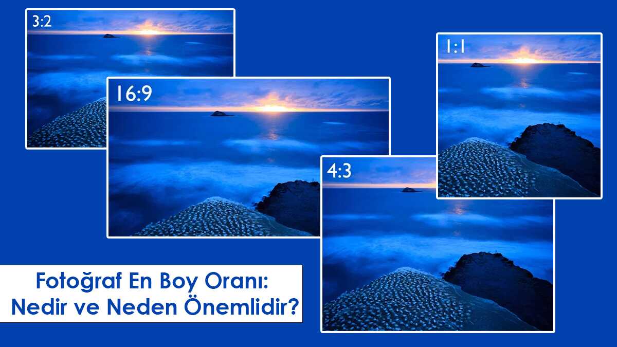 Boy örgütlenmesi nedir?